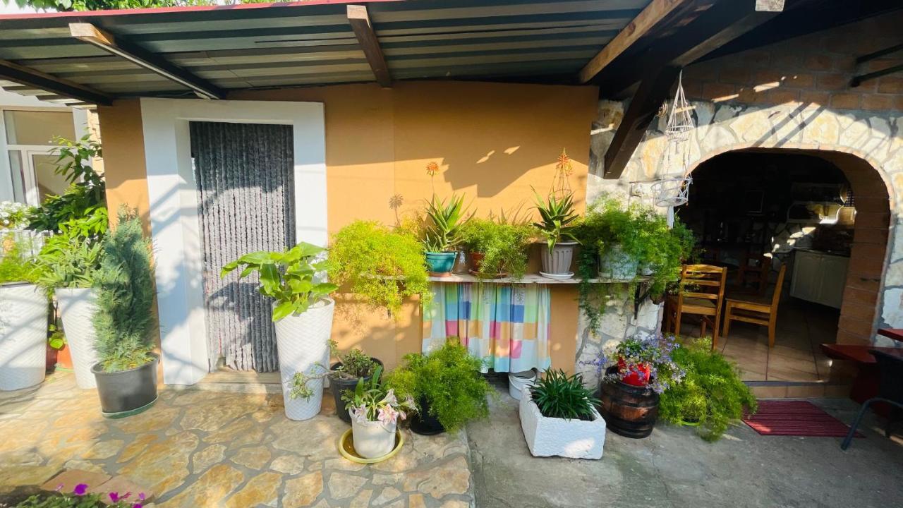 Colorful And Happy Apartment Sukosan - With Parking Exteriér fotografie